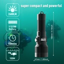 LAMPE DIVEPRO S26