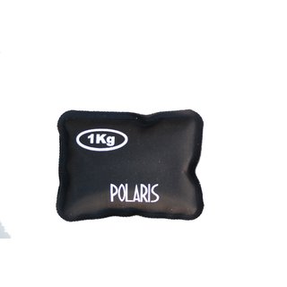 PLOMBS POLARIS GRENAILLE 1,0 KG