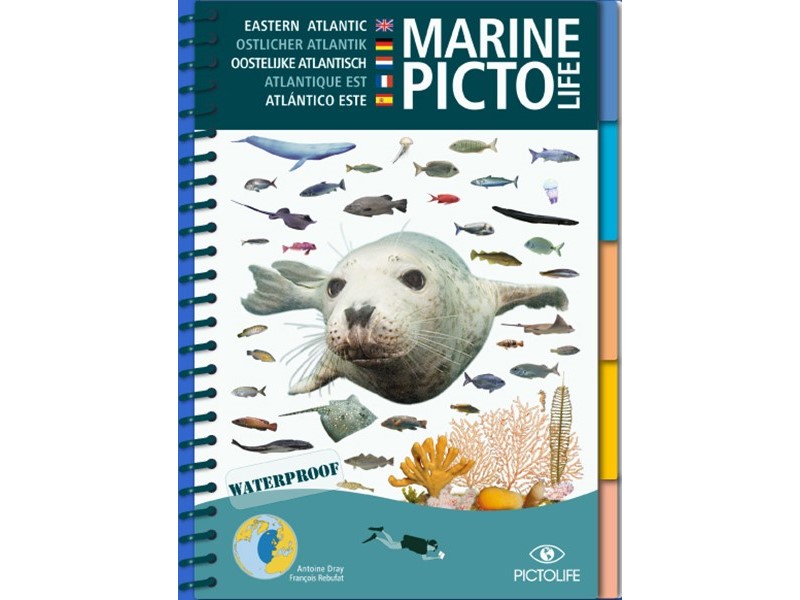 LIVRE MARINE PICTO LIFE ATLANTIQUE EST