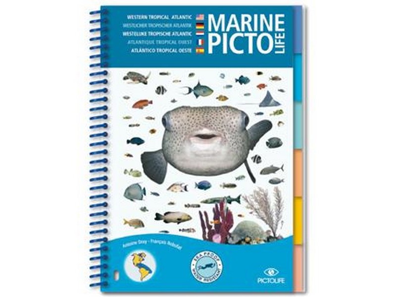 LIVRE MARINE PICTO LIFE – CARAÏBES / ATLANTIQUE TROPICAL OUEST