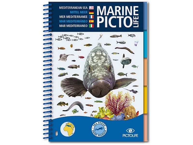 LIVRE MARINE PICTO LIFE – MER MÉDITERRANÉE