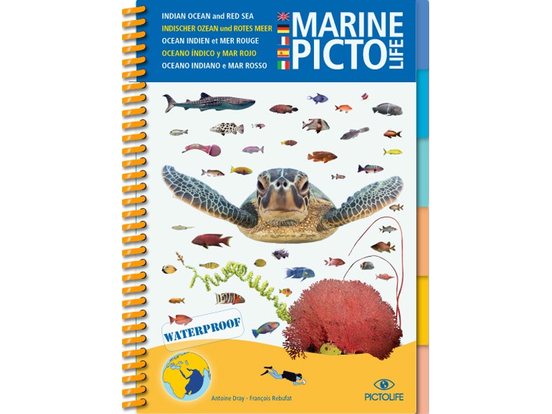 LIVRE MARINE PICTO LIFE – OCÉAN INDIEN ET MER ROUGE