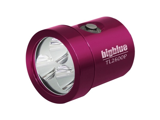 TÈTE DE LAMPE BIG BLUE TL2900P LH 