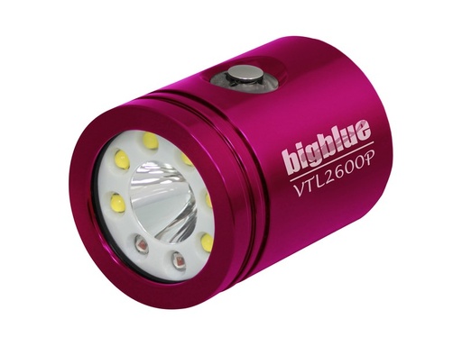 TÈTE DE LAMPE BIG BLUE VTL2900P LH