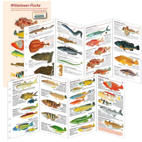 [005095] LIVRE LOGBOOK SUBLOG POISSON MEDITERANEE